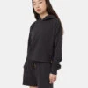 Tentree French Terry Crop Hoodie