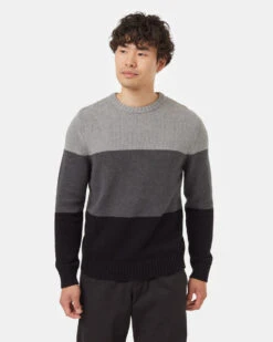 Tentree Highline Blocked Crew Sweater