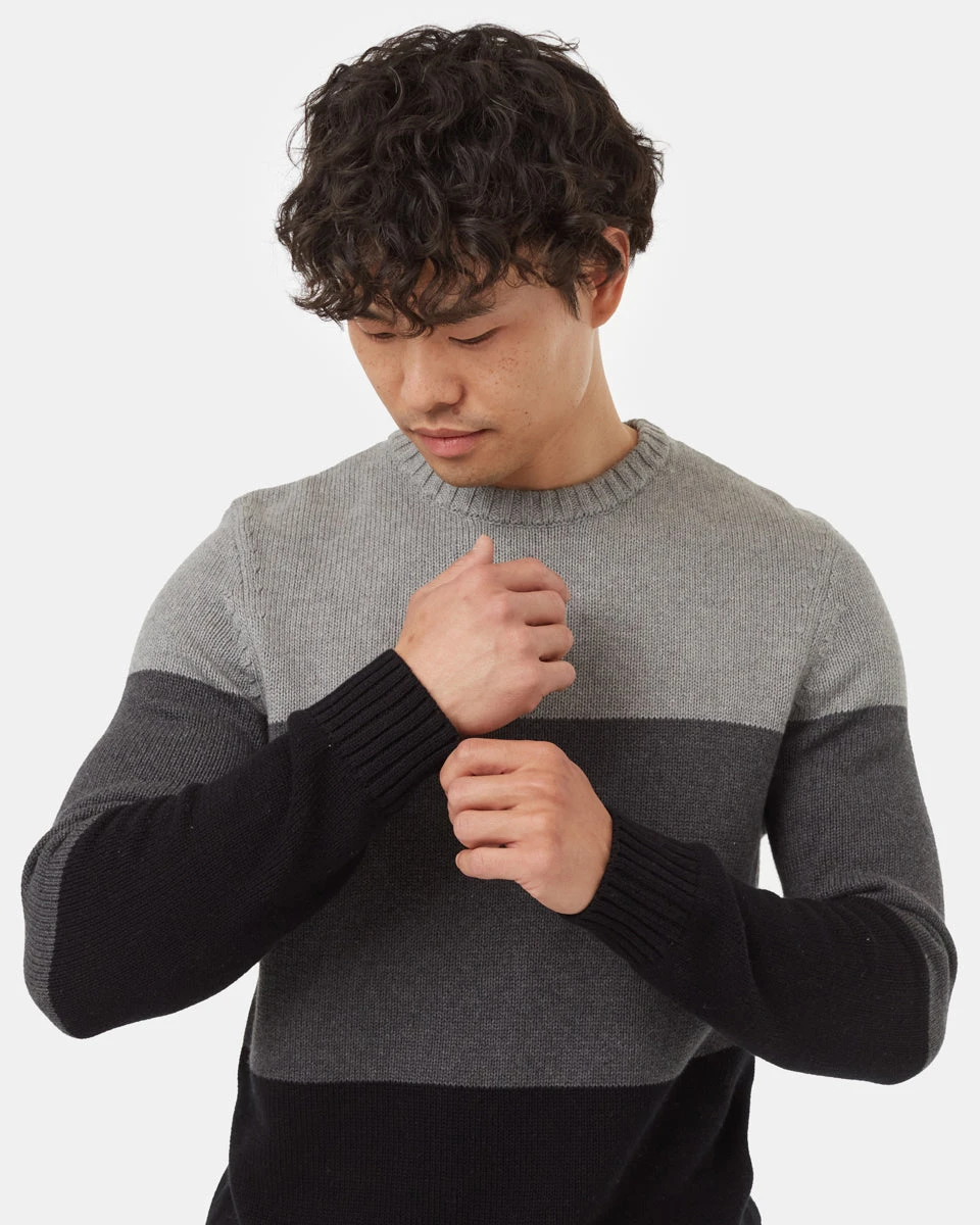 Tentree Highline Blocked Crew Sweater - Image 4