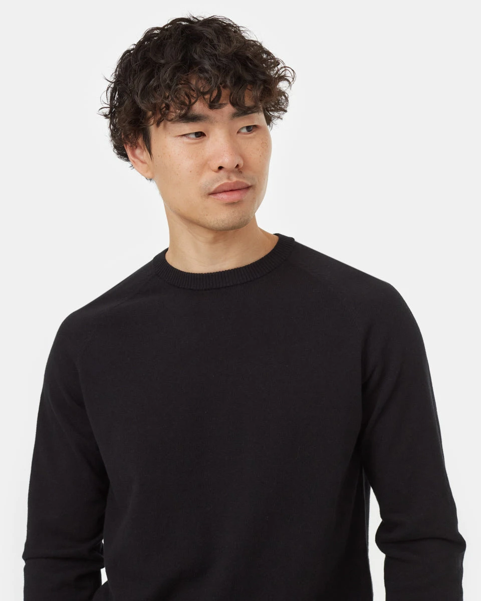 Tentree Highline Kapok Crew Sweater - Image 4
