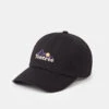 Tentree Mountain Wordmark Peak Hat
