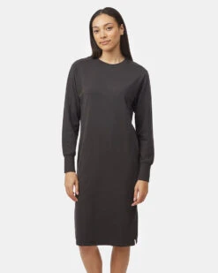 Tentree French Terry Long Sleeve Crew Dress