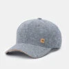 Tentree Cork Icon Hemp Elevation Hat