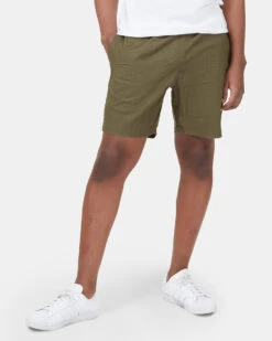 Tentree Hemp Stretch Chino Short