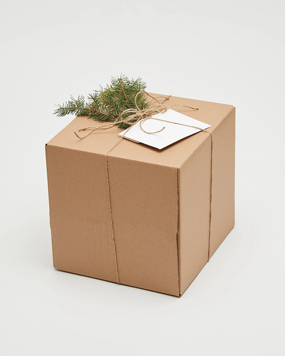 Tentree Kid's Mystery Box - Image 3