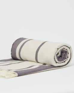 Tentree Organic Cotton Breeze Stripe Beach Blanket