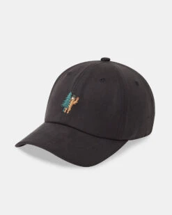 Tentree Tree Wave Sasquatch Tencel Peak Hat