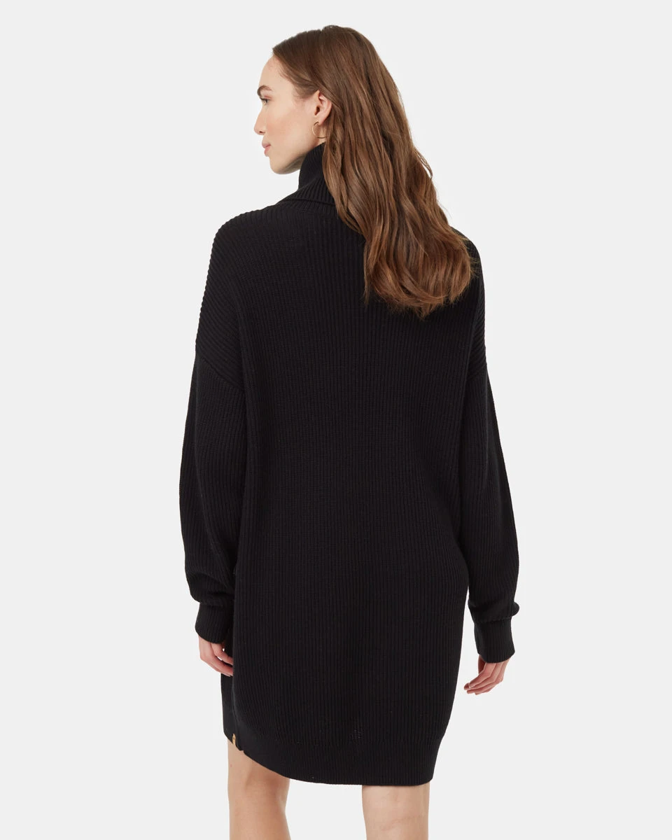 Tentree Highline Oversized Turtleneck Dress - Image 3