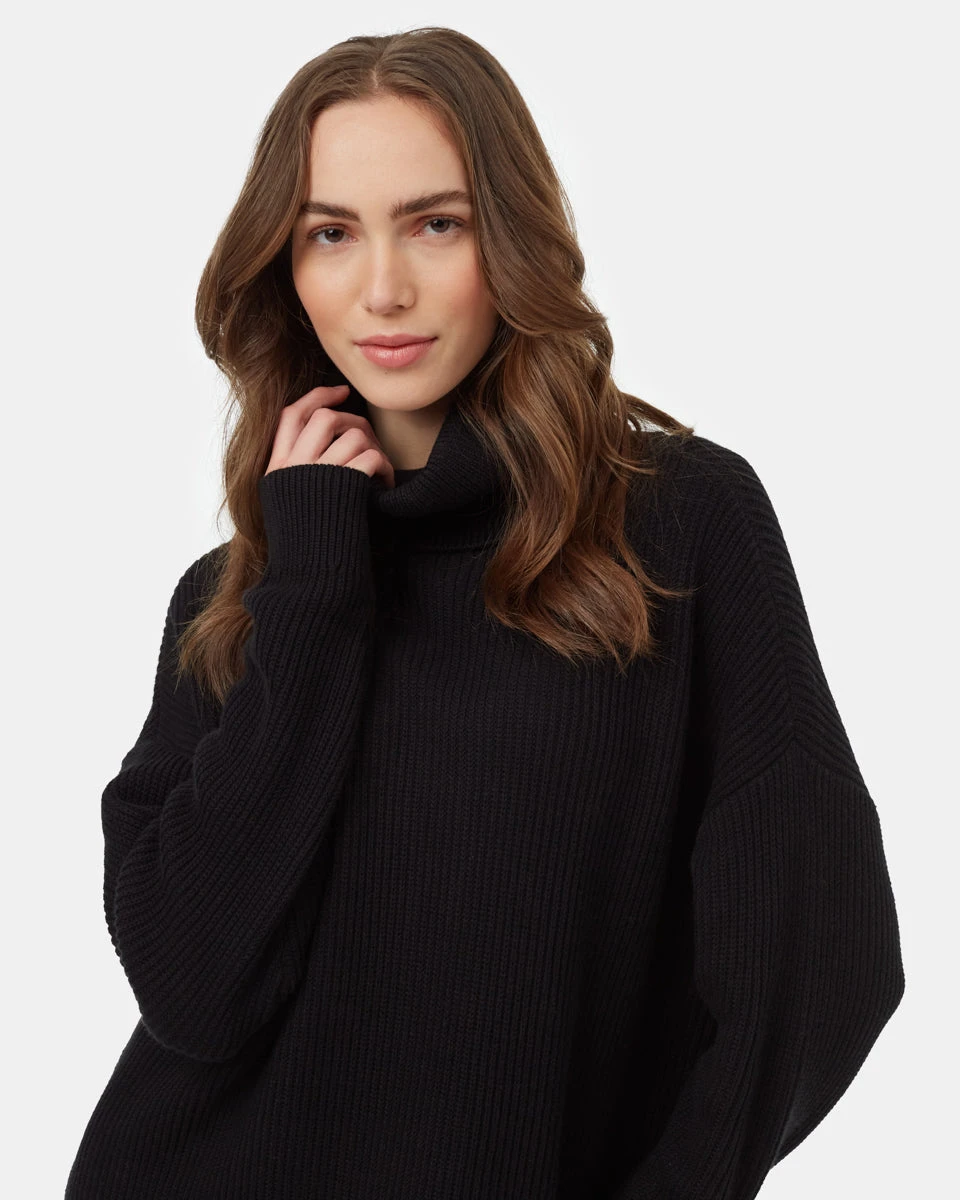 Tentree Highline Oversized Turtleneck Dress - Image 4