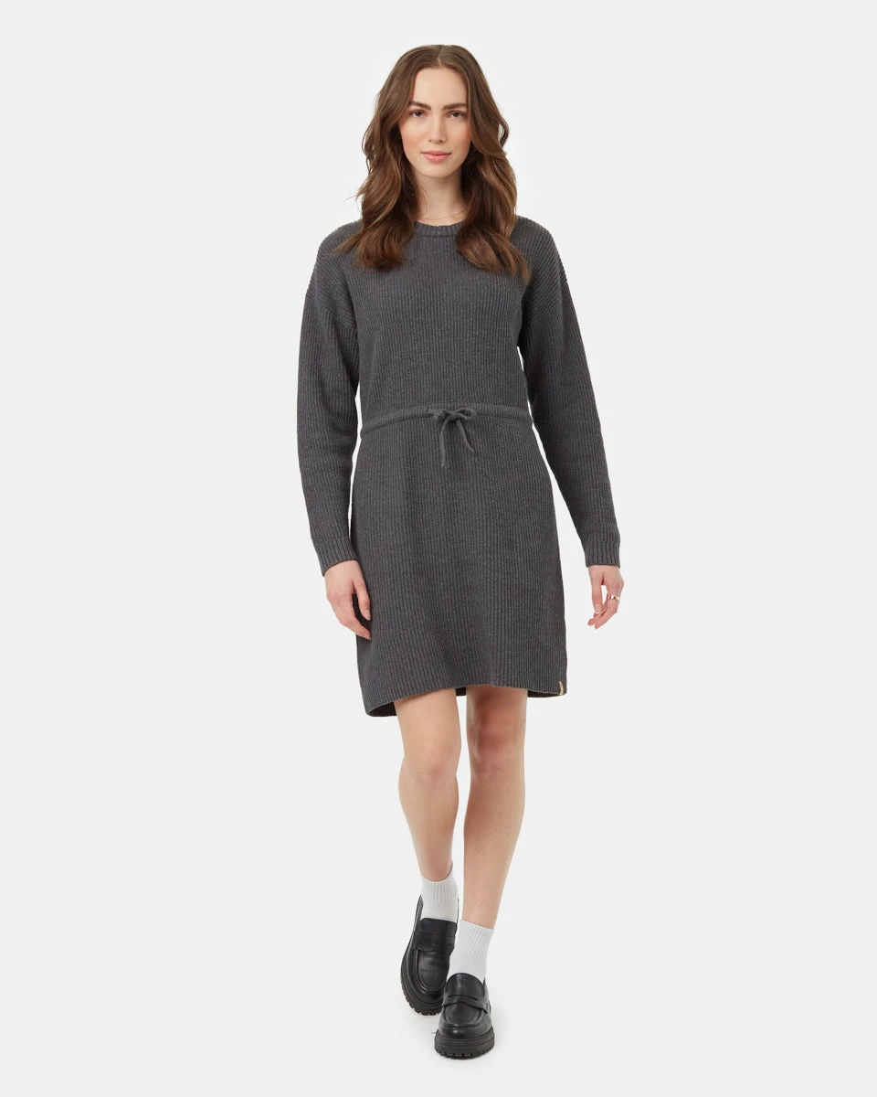 Tentree Highline Drawstring Sweater Dress