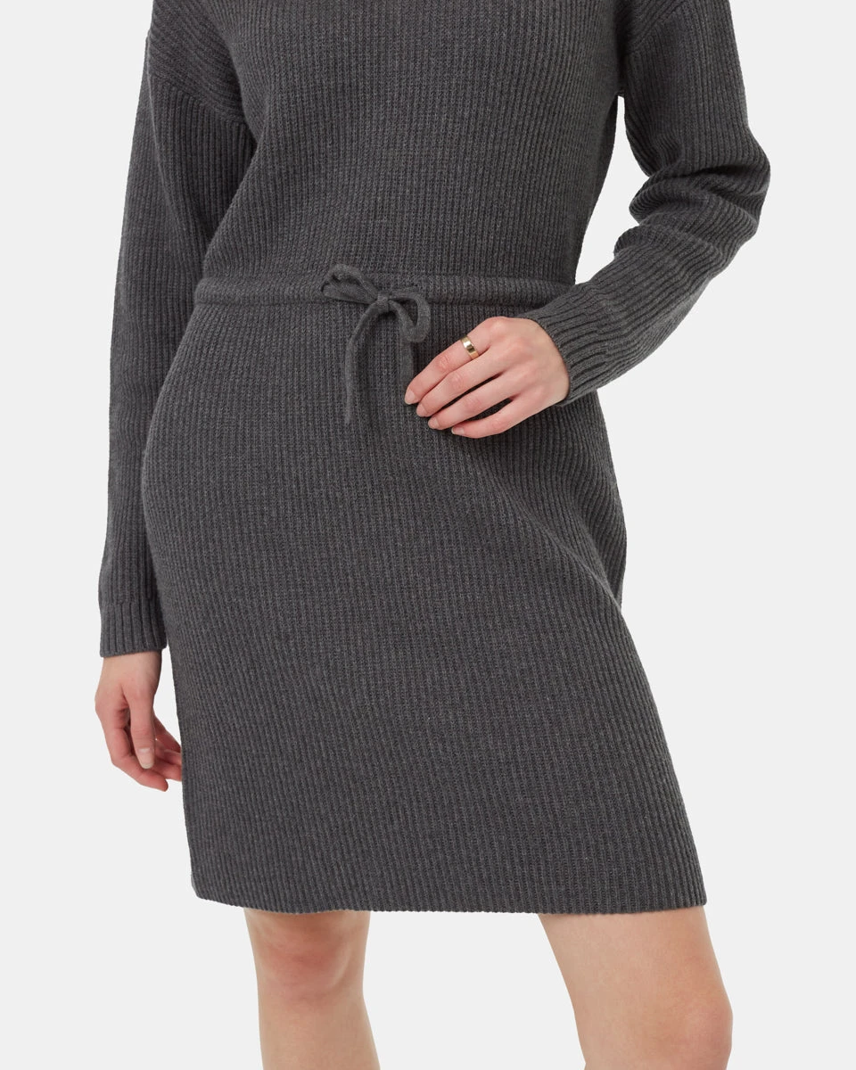 Tentree Highline Drawstring Sweater Dress - Image 5