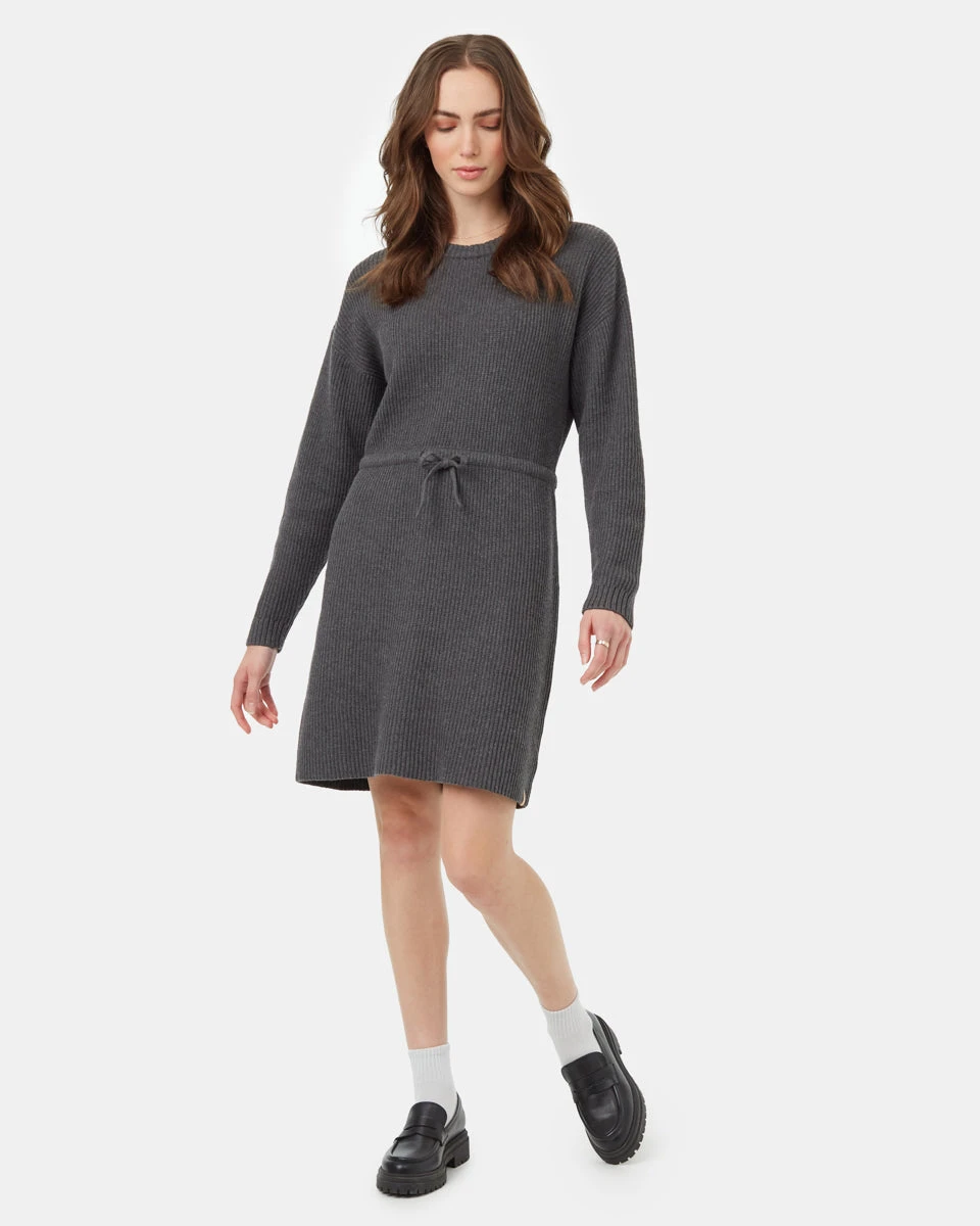 Tentree Highline Drawstring Sweater Dress - Image 6