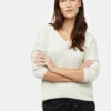 Tentree Highline Cotton V-Neck Sweater
