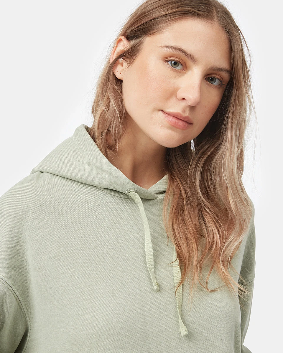 Tentree Organic French Terry Relaxed Hoodie - Image 4