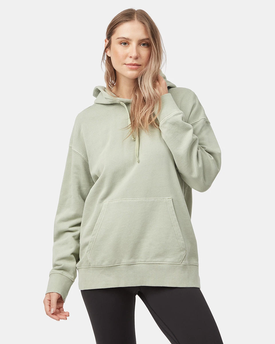 Tentree Organic French Terry Relaxed Hoodie