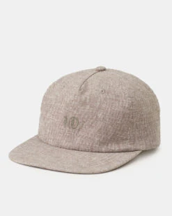 Tentree Hemp Snapback
