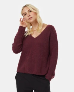 Tentree Highline Fuzzy V-Neck Sweater