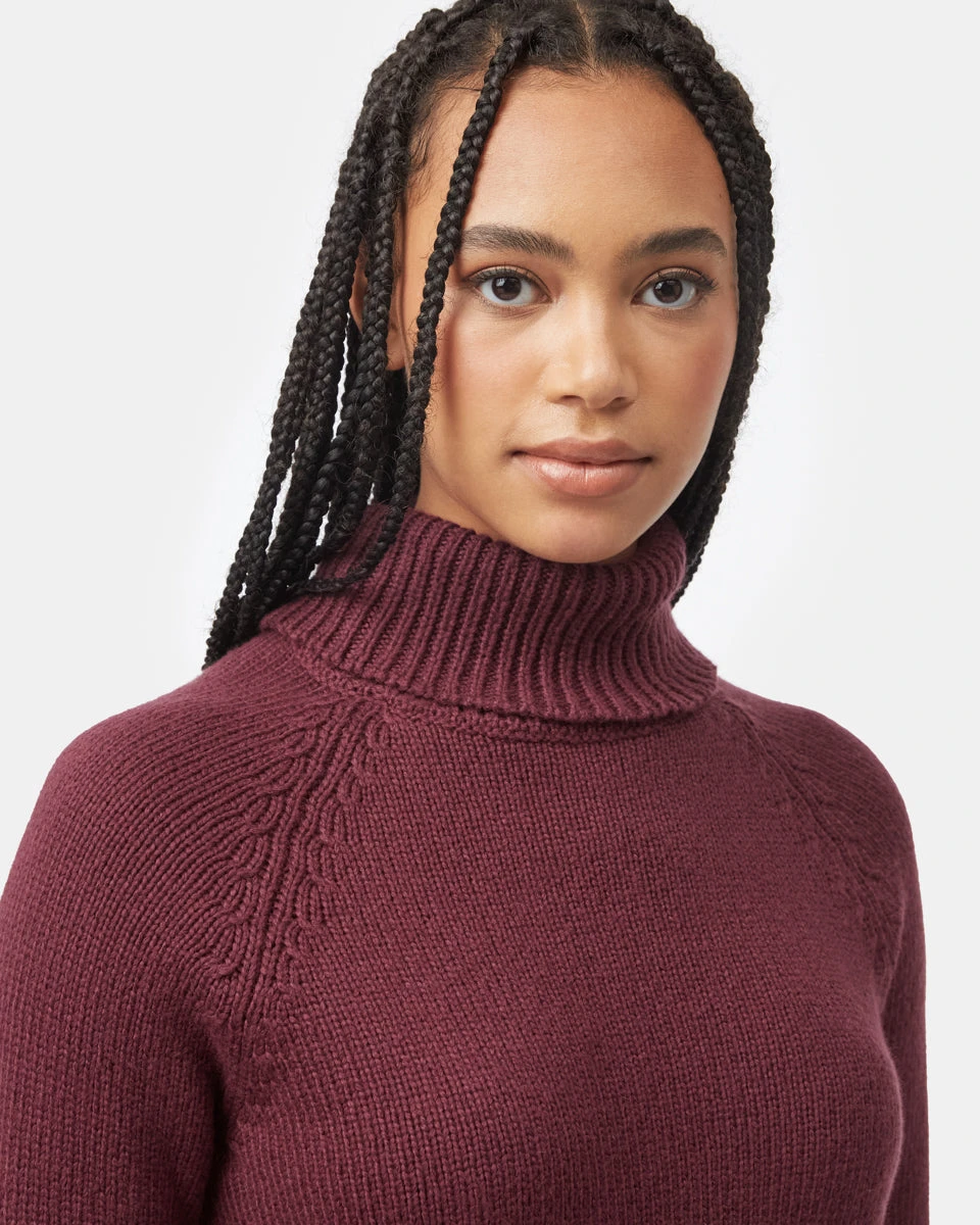 Tentree Highline Wool Turtleneck Sweater - Image 4
