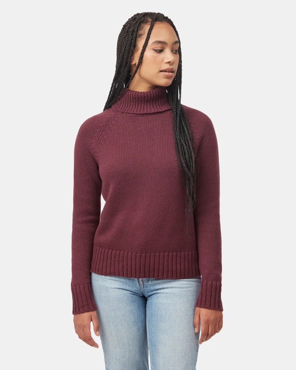 Tentree Highline Wool Turtleneck Sweater